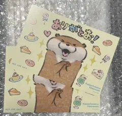 特別2枚セット 新品 可愛い嘘のカワウソ ポストカード 特典 非売品 最安値