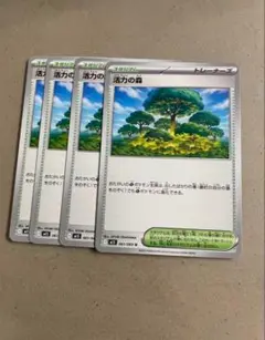 活力の森　4枚