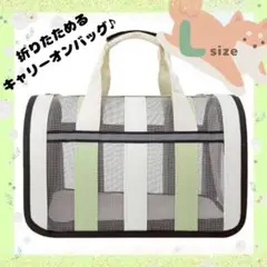 Item thumbnail for item 020ec42b-912d-4055-8ebd-85a78e0b1a1a