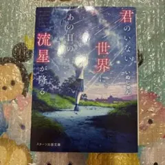 君のいない世界にあの日の流星が降る