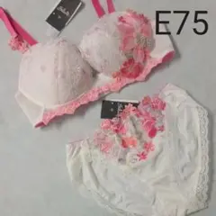 サルート ワコール 新品 ブラE75/ショーツM フロントXプラスブラ