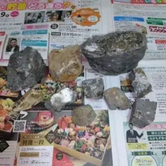 化石まとめ売り