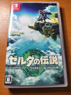 ゼルダの伝説 ティアーズ オブ ザ キングダム