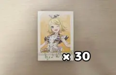 鏡音リン ぱしゃこれ 30枚セット