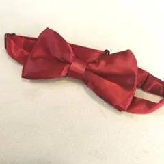 Item thumbnail for item 202db1f1-7df4-4760-8b6b-720ae7b6c349