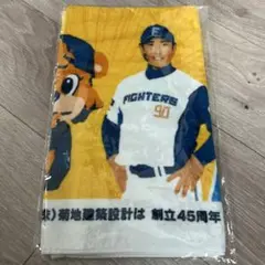 日本ハムファイターズ　鎌ヶ谷限定　タオル　カビー　稲葉監督