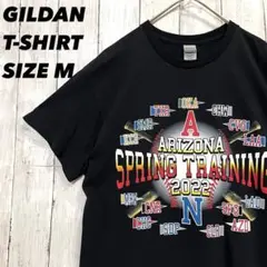 アメリカ古着　GILDAN アリゾナスプリングトレーニングプリントTシャツ　M黒