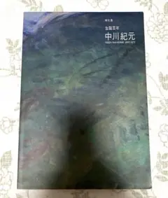SALE❣️【希少】　中川紀元　図録　渋谷松濤美術館 【美術館　図録　画集】