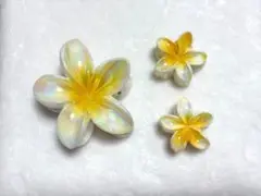 夏の花ハイビスカス ヘアクリップセット （光沢のある黄色）