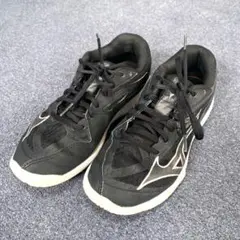 Item thumbnail for item d74ed236-4cd4-4a9d-9dbe-b1062b693bd6