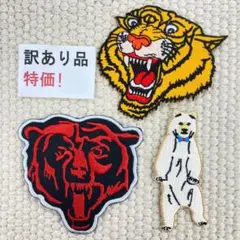 訳有品　刺繡ワッペン　ST434