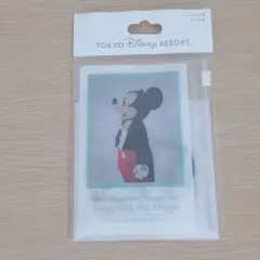 【新品未使用】ディズニー　イマジニングザマジック ケース付きシール25枚入り