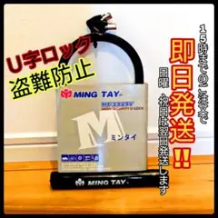 Item thumbnail for item ea943a7c-d3ae-4e72-affb-31ef0767ca37