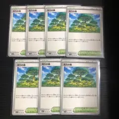 活力の森　7枚