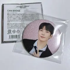 SEVENTEEN holiday 缶バッジ　ウォヌ