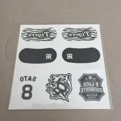 Item thumbnail for item 80745a64-1496-473b-9eef-60327d6f2ade