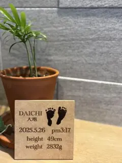 【オーダーメイド】命名書　足形