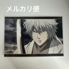 銀魂 ポストカード アニメイトフェア 坂田銀時
