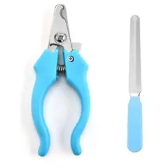 Item thumbnail for item 9f739fa4-e898-4120-8211-9e09d97fff8a