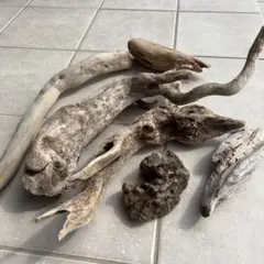 Item thumbnail for item 7c77434d-c58c-45fd-8154-7cdb9d802d3c