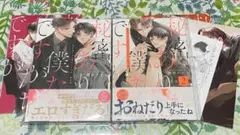 秘密ありきの僕たちですが 限定版 1巻2巻セット