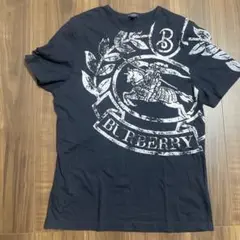 Item thumbnail for item b5cbc923-a4b9-47c3-8b2e-883e11bc73ca