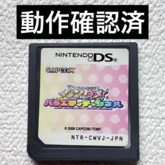 jj【動作確認済】NintendoDS ワンタメ バライティチャンネル