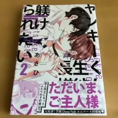 ヤンキーくんは生徒会長様に躾けられたい 2