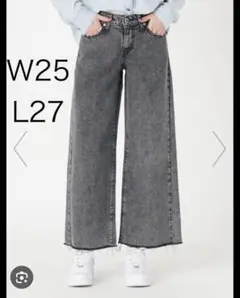 silver tab LOW BAGGY CROP W25 L27 グレー