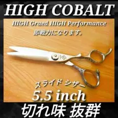 Item thumbnail for item 68045687-067f-4756-954f-f6f61fdee584