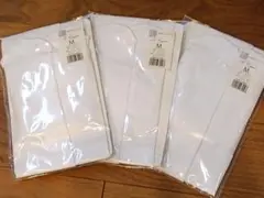 Item thumbnail for item 90391988-fb1c-4f0a-9861-d007b22f031f