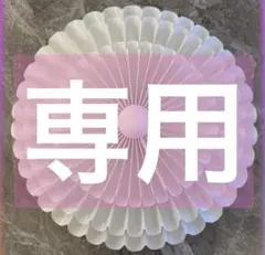 専用シーリングライト