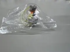 夏目友人帳　ニャンコ先生　徒然ストラップ伍