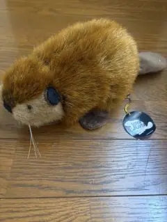 2025年最新】SUPERBEAVER×吉徳の人気アイテム - メルカリ