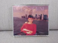 南野陽子 GLOBAL