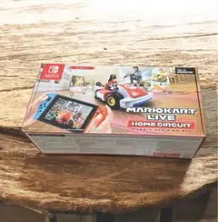 マリオカートライブ　ホームサーキット