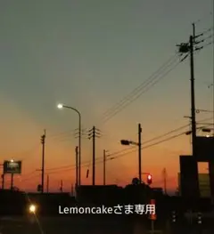 Lemoncakeさま専用 パネル