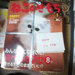 ねこのきもち 2007年1月号~12月号