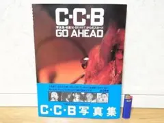 Item thumbnail for item 246cbd2d-f8ff-4a6d-b070-295345fcb61a