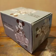 箱のみ※ ミッキー/フォルクスワーゲン