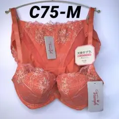 C75/M 天使のブラ(R) スリムライン 極上ライト564