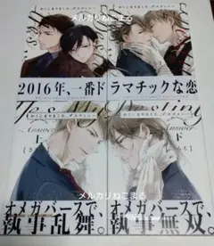 かしこまりました、デスティニー まとめ売りセット