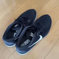 Item thumbnail for item f536712c-2f9b-4485-a7d0-df304c4195e5