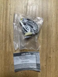 まちぼうけ　チンアナゴ　ちんあなご　新品