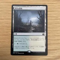 MTG 草茂る農地(日)