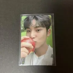 seventeen ミンギュ　トレカ