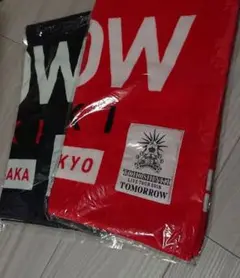 東方神起  会場限定タオル