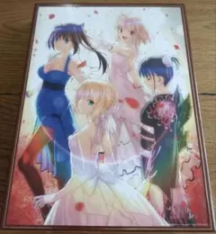 【未開封】TYPE MOON Fes 10TH ANNIVERSARY SET TYPE MOON Fes. 10TH ANNIVERSARY Blu-ray Box Limited Edition