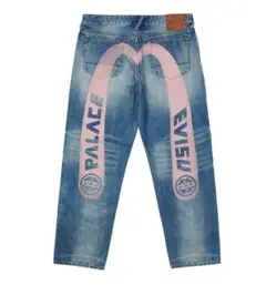 palace evisu 2008 デニム ビックカモメ 29 新品未使用