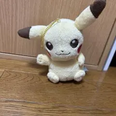 アイラブピカチュウおとなもポケモンピカチュウ＆ピチュー 2025年最新】アイラブピカチュウぬいぐるみの人気アイテム